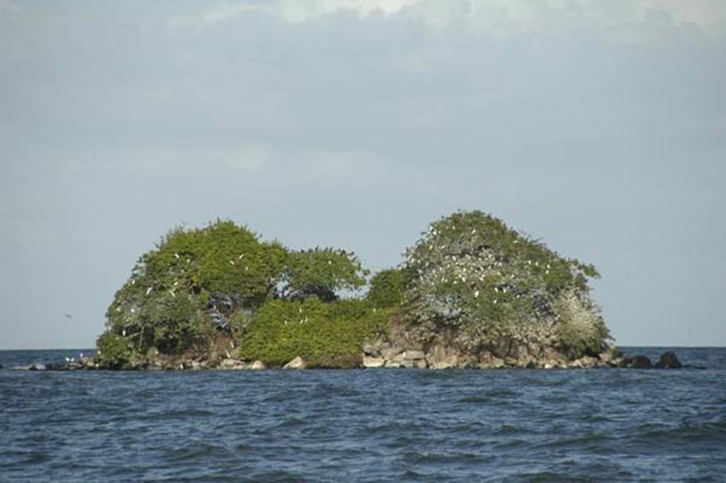 Hotel San Juan Ometepe Altagracia Luaran gambar